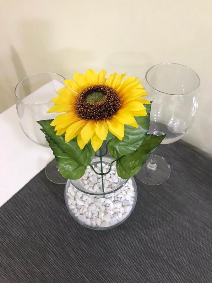 Apartment Sunflower021 Нови Сад Екстериор снимка