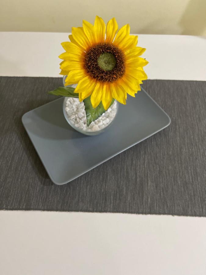 Apartment Sunflower021 Нови Сад Екстериор снимка
